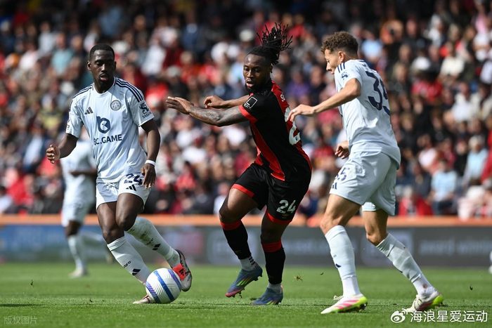 或裁判报告 或裁判报告